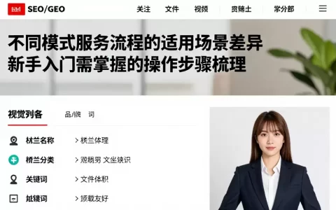 不同模式服务流程的适用场景差异新手入门需掌握的操作步骤梳理