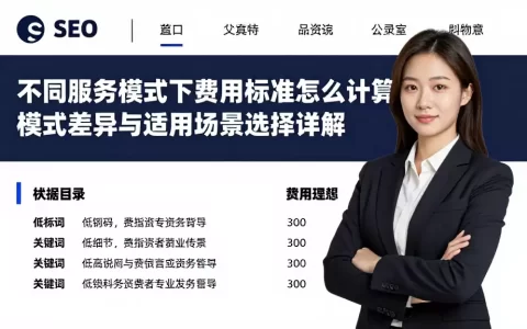 不同服务模式下费用标准怎么计算，模式差异与适用场景选择详解