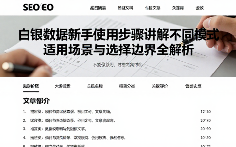 白银数据新手使用步骤讲解不同模式适用场景与选择边界全解析