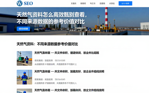 天然气资料怎么高效甄别查看，不同来源数据的参考价值对比