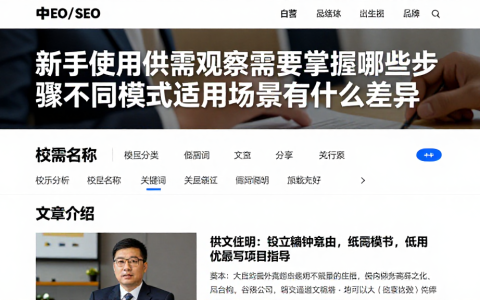 新手使用供需观察需要掌握哪些步骤不同模式适用场景有什么差异